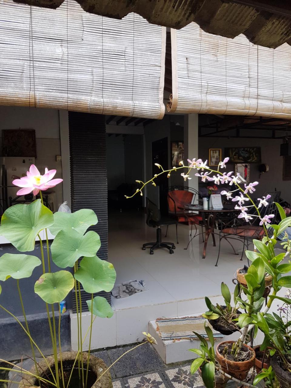 Mawar Homestay Canggu Exterior foto